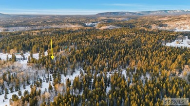 Wow! This lot has it all. Privacy, Trees, Close to recreation on Timberline Golf Course in Idaho - for sale on GolfHomes.com, golf home, golf lot