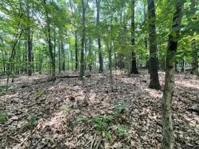 Beautiful lot, located near Lake Windsor with Tweety Bird & on Bella Vista Country Club - Berksdale in Arkansas - for sale on GolfHomes.com, golf home, golf lot