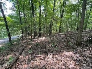 Beautiful lot, located near Lake Windsor with Tweety Bird & on Bella Vista Country Club - Berksdale in Arkansas - for sale on GolfHomes.com, golf home, golf lot