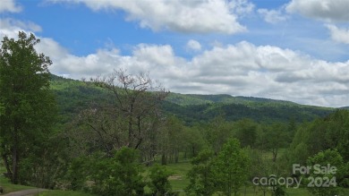 Tucked away in the beautiful North Cove area of the Blue Ridge on Linville Falls Golf Club in North Carolina - for sale on GolfHomes.com, golf home, golf lot