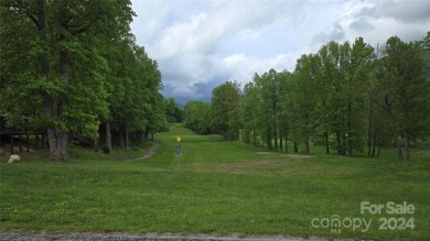 Tucked away in the beautiful North Cove area of the Blue Ridge on Linville Falls Golf Club in North Carolina - for sale on GolfHomes.com, golf home, golf lot