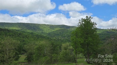 Tucked away in the beautiful North Cove area of the Blue Ridge on Linville Falls Golf Club in North Carolina - for sale on GolfHomes.com, golf home, golf lot