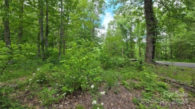 Tucked away in the beautiful North Cove area of the Blue Ridge on Linville Falls Golf Club in North Carolina - for sale on GolfHomes.com, golf home, golf lot