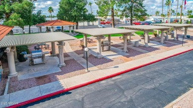 Charming furnished 2 bedroom, 2 bath, plus bonus room home with on Viewpoint Golf Resort in Arizona - for sale on GolfHomes.com, golf home, golf lot