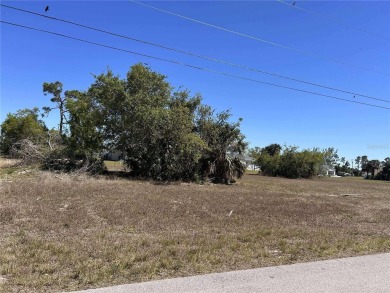 A spacious lot is now available, comprising three parcels (11 on Del Tura Golf and Country Club in Florida - for sale on GolfHomes.com, golf home, golf lot