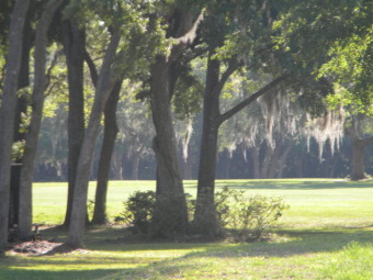 PLAY GOLF EVERY DAY OR JUST RELAX AND ENJOY WATCHING THE GOLFERS on Chiefland Golf & Country Club in Florida - for sale on GolfHomes.com, golf home, golf lot