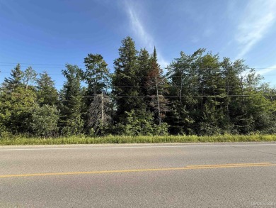 3.5 acres of wooded land just outside city limits on H58/Adams on Pictured Rocks Golf and Country Club in Michigan - for sale on GolfHomes.com, golf home, golf lot