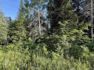 3.5 acres of wooded land just outside city limits on H58/Adams on Pictured Rocks Golf and Country Club in Michigan - for sale on GolfHomes.com, golf home, golf lot