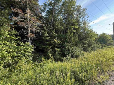 3.5 acres of wooded land just outside city limits on H58/Adams on Pictured Rocks Golf and Country Club in Michigan - for sale on GolfHomes.com, golf home, golf lot