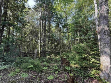 Own of piece of pardise in the UP. 3.5 acres of wooded land just on Pictured Rocks Golf and Country Club in Michigan - for sale on GolfHomes.com, golf home, golf lot