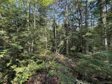 Own of piece of pardise in the UP. 3.5 acres of wooded land just on Pictured Rocks Golf and Country Club in Michigan - for sale on GolfHomes.com, golf home, golf lot