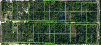 CONVENIENTLY LOCATED BETWEEN LAKE JACKSON AND THE STATE PARK on Golf Hammock Country Club, Inc in Florida - for sale on GolfHomes.com, golf home, golf lot