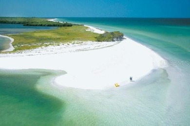 WELCOME TO PARADISE and discover waterfront living at its best! on The Dunedin Country Club in Florida - for sale on GolfHomes.com, golf home, golf lot