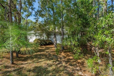 Welcome to your perfect next chapter in sought-after Sugarmill on Sugarmill Woods Golf and Country Club in Florida - for sale on GolfHomes.com, golf home, golf lot
