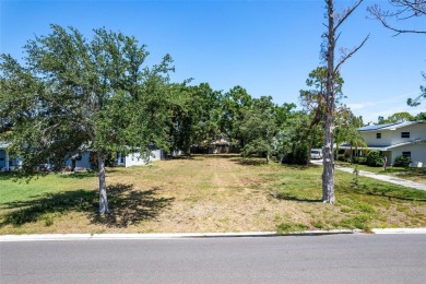 Discover an extraordinary opportunity to create your Florida on St. Petersburg Country Club in Florida - for sale on GolfHomes.com, golf home, golf lot