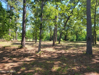Beautiful and rare golf/pond view home site on .65/acre in the on Ocean Ridge Plantation in North Carolina - for sale on GolfHomes.com, golf home, golf lot