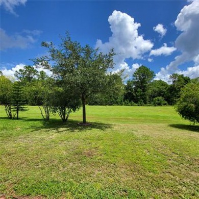 Location, Location ,Location! This beautiful 3751 square-foot on Harmony Golf Preserve in Florida - for sale on GolfHomes.com, golf home, golf lot