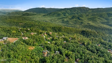 Welcome to Pine Top Escape, a stunning rustic-modern mountain on Bent Creek Golf Course in Tennessee - for sale on GolfHomes.com, golf home, golf lot
