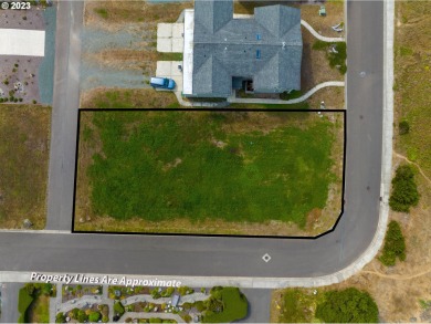 WOW! Come see this beautiful Coquille Point ocean view homesite on Old Bandon Golf Links in Oregon - for sale on GolfHomes.com, golf home, golf lot