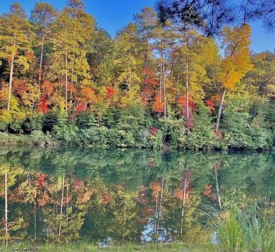 Discover the tranquility of The Orchard, an esteemed mountain on The Orchard Golf and Country Club in Georgia - for sale on GolfHomes.com, golf home, golf lot