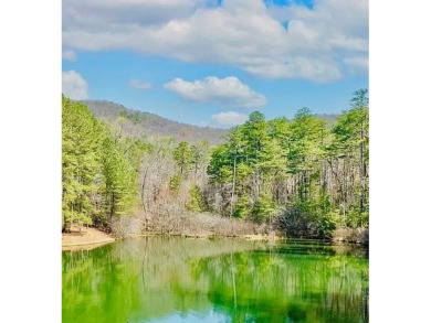Discover the tranquility of The Orchard, an esteemed mountain on The Orchard Golf and Country Club in Georgia - for sale on GolfHomes.com, golf home, golf lot