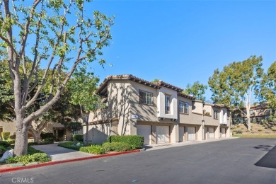 Experience breathtaking views in this completely remodeled on Tijeras Creek Golf Club in California - for sale on GolfHomes.com, golf home, golf lot