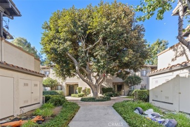 Experience breathtaking views in this completely remodeled on Tijeras Creek Golf Club in California - for sale on GolfHomes.com, golf home, golf lot