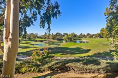 Experience breathtaking views in this completely remodeled on Tijeras Creek Golf Club in California - for sale on GolfHomes.com, golf home, golf lot