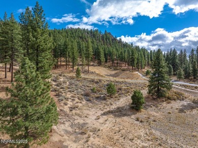 Homesite with Architectural Plans Included at Clear Creek Tahoe on Clear Creek Tahoe in Nevada - for sale on GolfHomes.com, golf home, golf lot