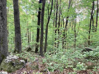 Tucked into the mountains just minutes from Greenville, SC, this on The Cliffs Valley Golf Course in South Carolina - for sale on GolfHomes.com, golf home, golf lot