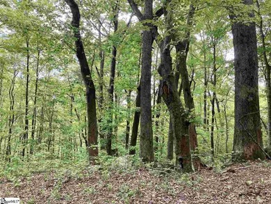 Tucked into the mountains just minutes from Greenville, SC, this on The Cliffs Valley Golf Course in South Carolina - for sale on GolfHomes.com, golf home, golf lot