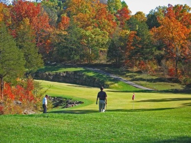 Better than new construction in prestigious Stonebridge Village! on Ledgestone Country Club and Golf Course in Missouri - for sale on GolfHomes.com, golf home, golf lot