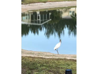The thought of spending your retirement years gazing at this on Sabal Springs Golf and Racquet Club in Florida - for sale on GolfHomes.com, golf home, golf lot