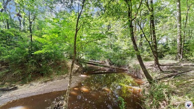 Tucked away on 3 private acres along the golf course, this on De Queen Country Club and Lodge in Arkansas - for sale on GolfHomes.com, golf home, golf lot