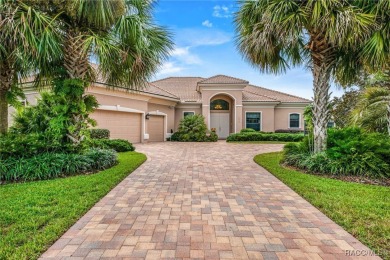 Welcome to resort-style living in Terra Vista, one of the on Skyview At Terra Vista Golf and Country Club in Florida - for sale on GolfHomes.com, golf home, golf lot