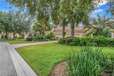 Welcome to resort-style living in Terra Vista, one of the on Skyview At Terra Vista Golf and Country Club in Florida - for sale on GolfHomes.com, golf home, golf lot