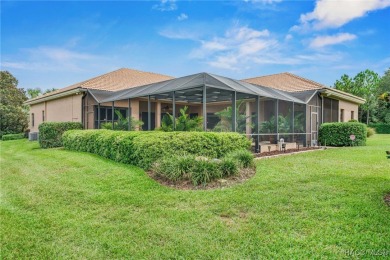 Welcome to resort-style living in Terra Vista, one of the on Skyview At Terra Vista Golf and Country Club in Florida - for sale on GolfHomes.com, golf home, golf lot