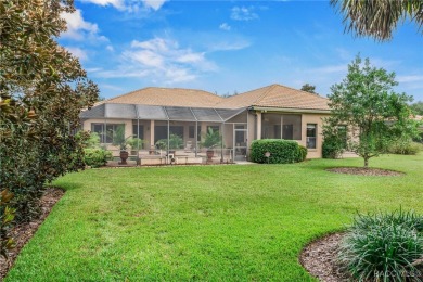 Welcome to resort-style living in Terra Vista, one of the on Skyview At Terra Vista Golf and Country Club in Florida - for sale on GolfHomes.com, golf home, golf lot