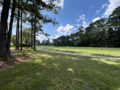 Located at the #11 tee box of Wedgefield Golf Course; this is a on Wedgefield Plantation Golf Club in South Carolina - for sale on GolfHomes.com, golf home, golf lot