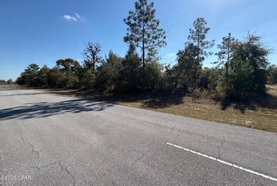 *** ATTENTION INVESTORS / COMMERCIAL LOT PRICED WAY BELOW on Sunny Hills Golf and Country Club in Florida - for sale on GolfHomes.com, golf home, golf lot