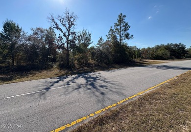 *** ATTENTION INVESTORS / COMMERCIAL LOT PRICED WAY BELOW on Sunny Hills Golf and Country Club in Florida - for sale on GolfHomes.com, golf home, golf lot