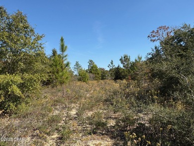 *** ATTENTION INVESTORS / COMMERCIAL LOT PRICED WAY BELOW on Sunny Hills Golf and Country Club in Florida - for sale on GolfHomes.com, golf home, golf lot