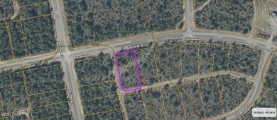 *** ATTENTION INVESTORS / COMMERCIAL LOT PRICED WAY BELOW on Sunny Hills Golf and Country Club in Florida - for sale on GolfHomes.com, golf home, golf lot