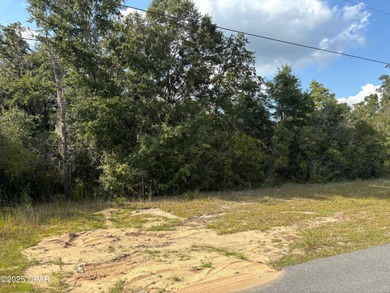 Discover one of the best building opportunities currently on Sunny Hills Golf and Country Club in Florida - for sale on GolfHomes.com, golf home, golf lot