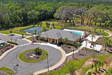 The Cascades at Southern Hills 55+ community in Brooksville! on Southern Hills Plantation Club in Florida - for sale on GolfHomes.com, golf home, golf lot