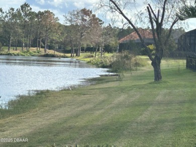 This property is nestled in between one of two famous LPGA golf on LPGA International Golf Course in Florida - for sale on GolfHomes.com, golf home, golf lot