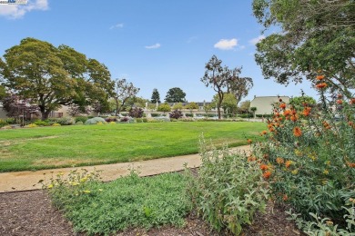 Live like you're on vacation in this completely upgraded 4BD/2 on Chuck Corica Golf Complex in California - for sale on GolfHomes.com, golf home, golf lot