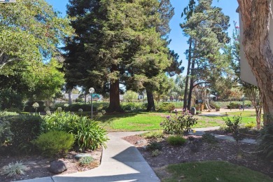 Live like you're on vacation in this completely upgraded 4BD/2 on Chuck Corica Golf Complex in California - for sale on GolfHomes.com, golf home, golf lot