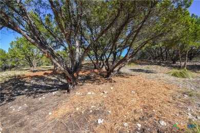 Nestled in the scenic community of Lago Vista, this beautifully on Highland Lakes Golf Course in Texas - for sale on GolfHomes.com, golf home, golf lot