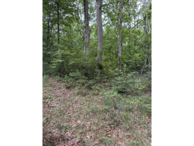 Come get lost from the busy hustle and bustle of city life for a on McLemore Golf Club in Georgia - for sale on GolfHomes.com, golf home, golf lot